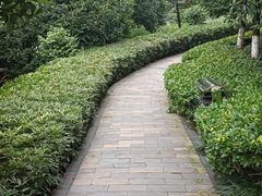 -龙头寺公园