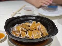 瓦撑盐焗鸡-东海海鲜酒家(中信广场店)