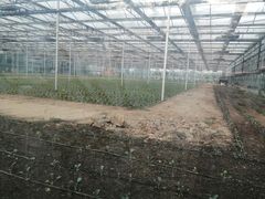 -兰陵国家农业公园