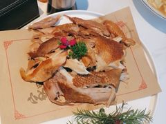 -来相会饺子·新辽菜(甘家口店)