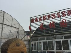 -庞各庄翠芳园西瓜蔬菜基地采摘园