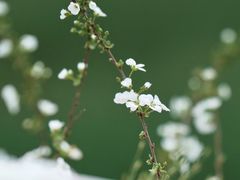 -白鹭湾湿地公园