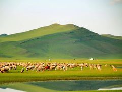 -呼和诺尔旅游景区