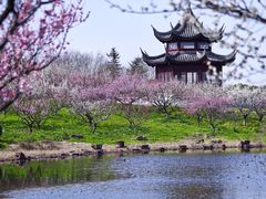 -上海海湾国家森林公园