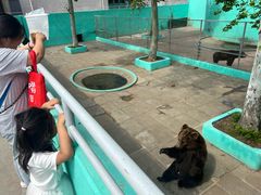 -西霞口神雕山野生动物世界