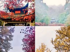 -岳麓山风景名胜区