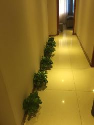 -唯伊美塑身美养连锁