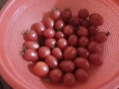 -世纪联华超市(浦电路店)