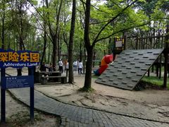 -溱湖国家湿地公园