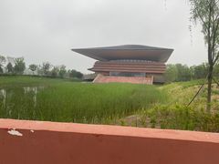 -白洋淀景区
