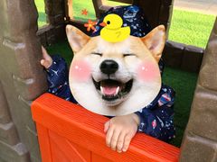 -艾儿思国际幼托园(双井园店)