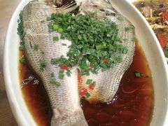 -老头儿油爆虾(金鹰世界店)