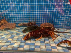 -蓝钻·国际美食海鲜自助百汇(西直门店)