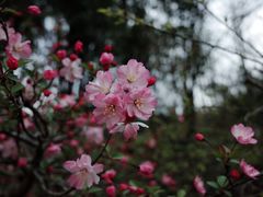 -白马涧龙池景区