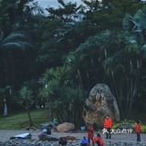 深圳游玩｜来荔枝公园打卡深圳超美水天辉映的建筑风光