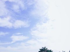 -光明小镇欢乐田园