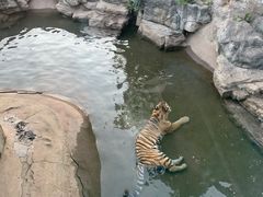 -深圳野生动物园