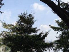 -东山湖公园