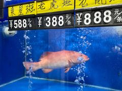 -喜聚薈·花膠雞海鮮火鍋(越秀店)