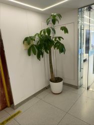 -魔型社烫染店