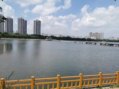 -长白岛森林公园