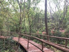 -黄陂区野村谷景区