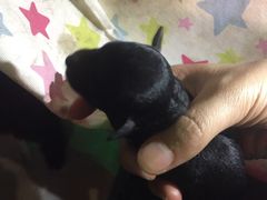 iphone_upload_pic-赢吧Bliss音乐酒吧