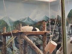 -武汉动物园