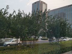 -郑州美盛喜来登大酒店