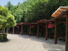 -太子山公园(园东路)