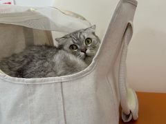 -爱妮康宠物医院·干细胞免疫细胞·肿瘤·心脏(张江店)