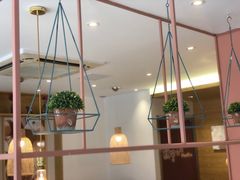 -鲜芋仙(中山路店)