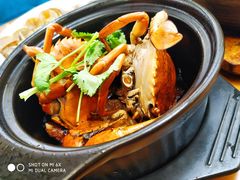 招牌香锅煎蟹-鑫鸿达·海鲜闽菜热炒小馆(中山路店)
