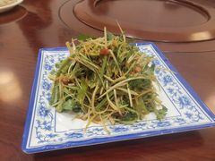 -石老头关东饺子王·东北菜(嘉华鑫城店)