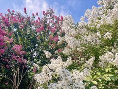 -杭州城北体育公园