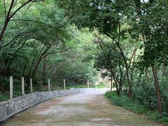 -北京鹫峰国家森林公园