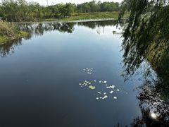 -同里国家湿地公园