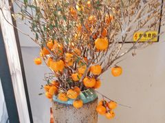 -顺峰(农展馆店)