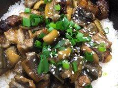 -红星光发煲仔饭(大石街店)