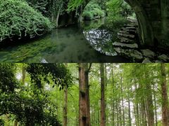 -红花湖景区