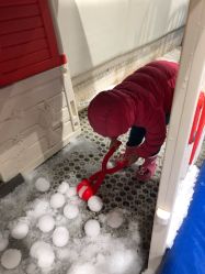 -Mr·Kuma酷么先生雪之乐园