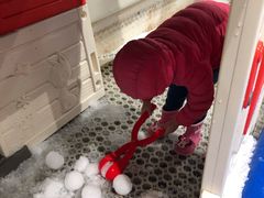 -Mr·Kuma酷么先生雪之乐园