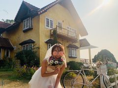 -黄色小屋