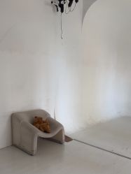 -十孕纪高端孕妇亲子摄影