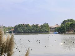 -上海野生动物园