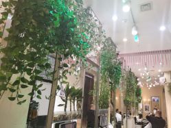 点击看大图 -卡尔诗·科技美肤连锁