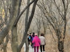 -沈阳辉山风景区