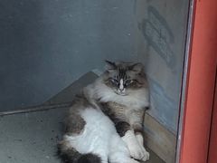 -白兔子密室(长寿路店)