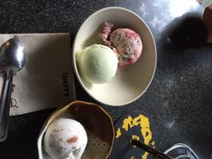 iphone_upload_pic-莓园冰淇淋店