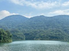 -广州市石门国家森林公园